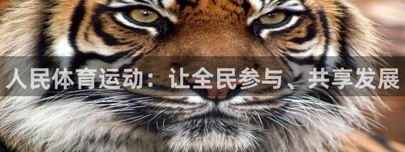 杏宇4平台注册