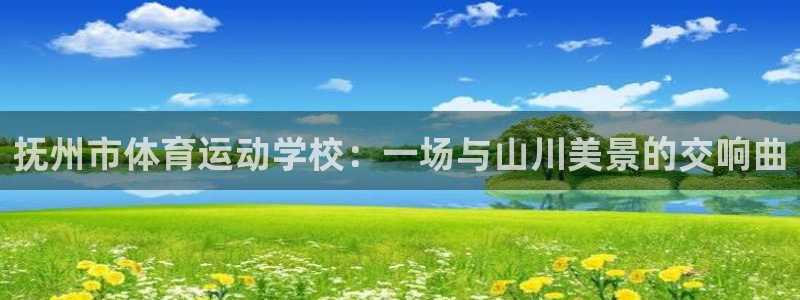 杏宇注册平台登录