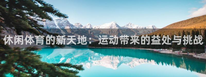 杏宇注册平台登录网址