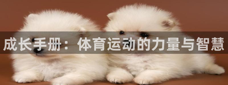 杏宇登录