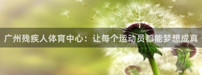 杏宇代理