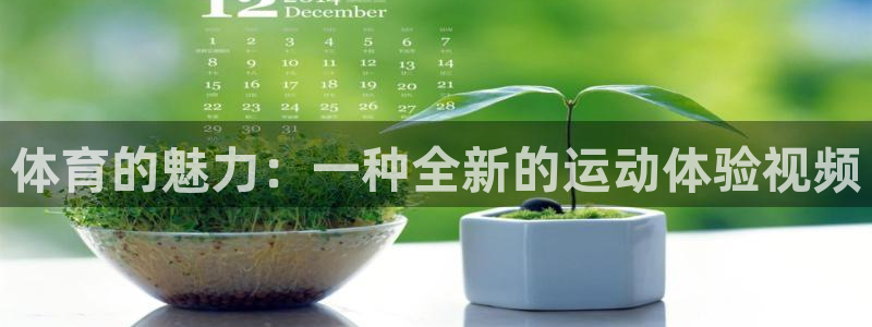 杏宇体育游戏