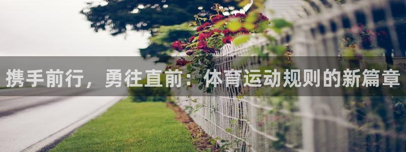 杏宇电子有限公司