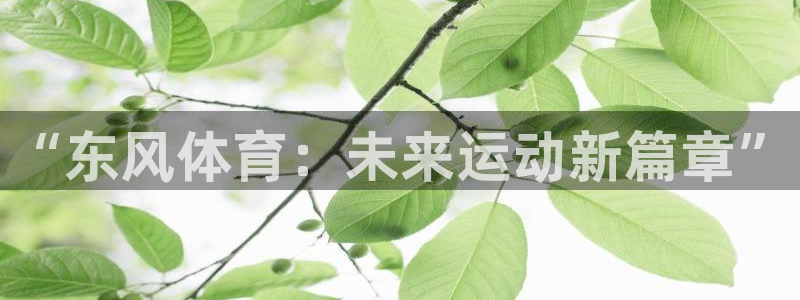 杏宇2官网