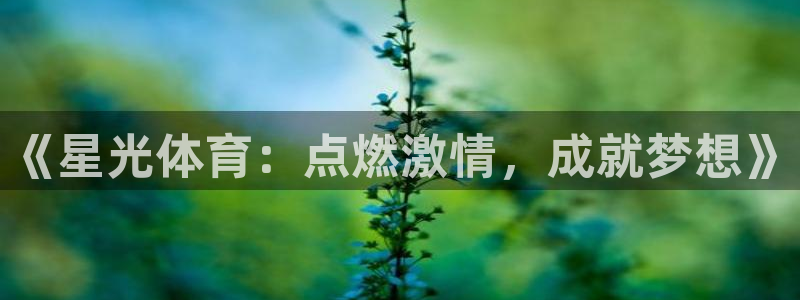 杏宇体育4