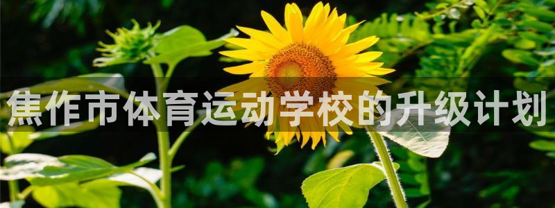 杏宇体育官网入口登录