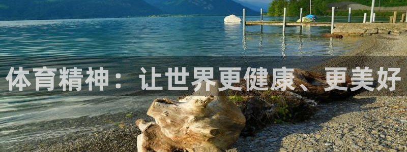 杏宇包怎么样