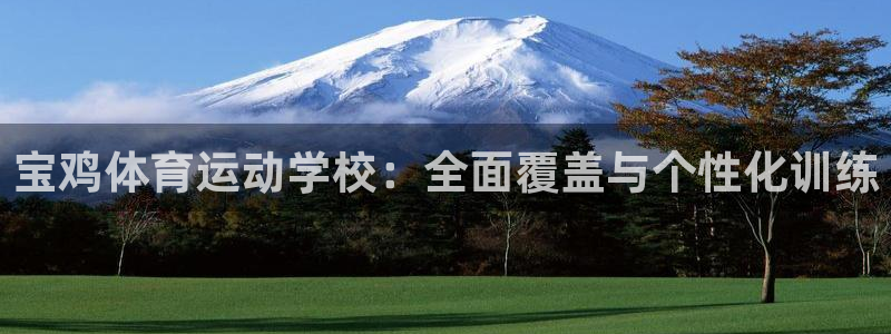 杏宇体育注册代理