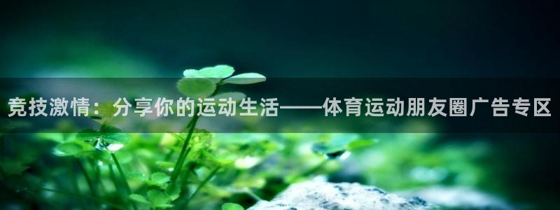 杏宇代理
