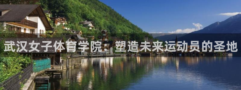 杏宇集团