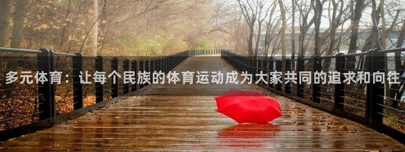 杏宇体育凯捷平台代理