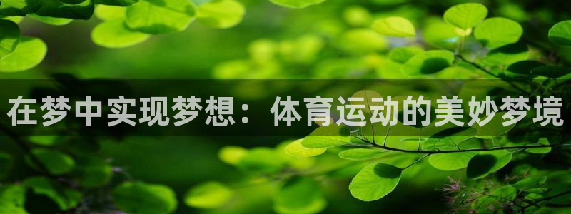 杏宇4登录