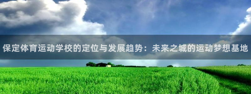 上海杏宇汽车电子有限公司