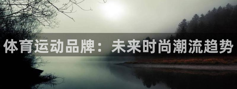 福建杏宇机电股份公司