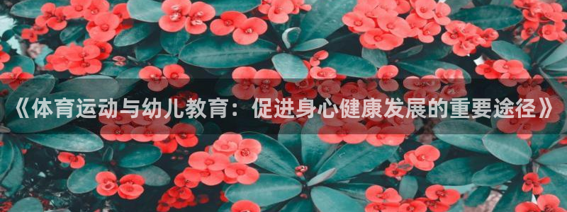 杏宇代理注册官网入口