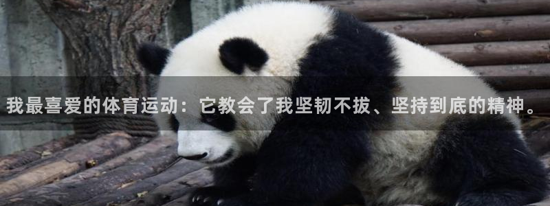 杏宇登录