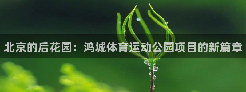 杏宇2登录地址