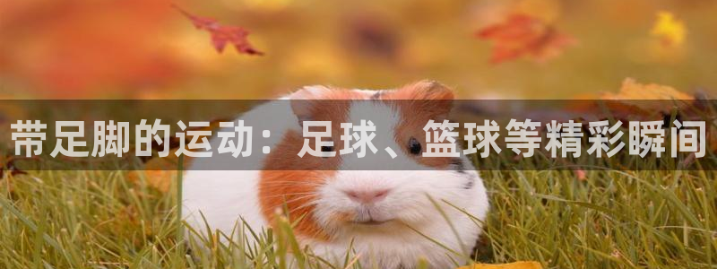 福建杏宇机电股份公司