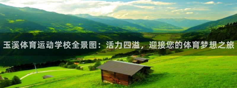 杏宇体育app下载