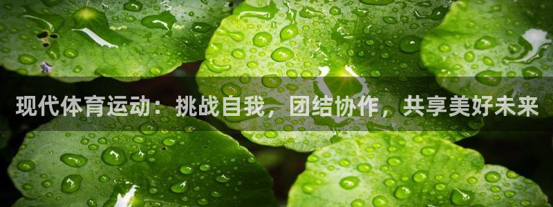 杏宇2代理注册