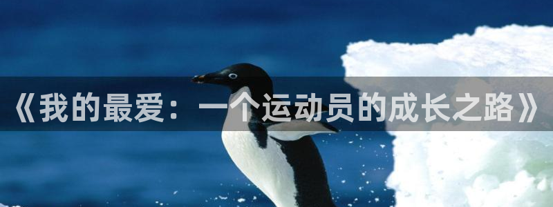 山西杏宇酒业有限公司