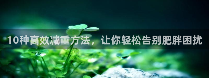 杏宇体育4