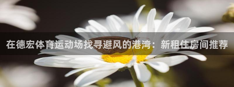 杏宇凯捷平台