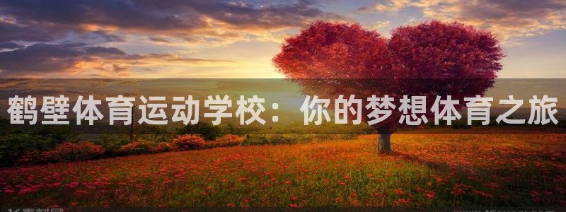 杏宇包怎么样
