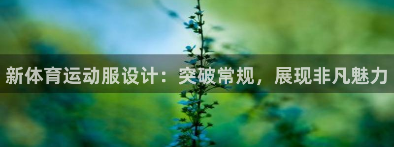 杏宇体育和杏耀是哪个公司的