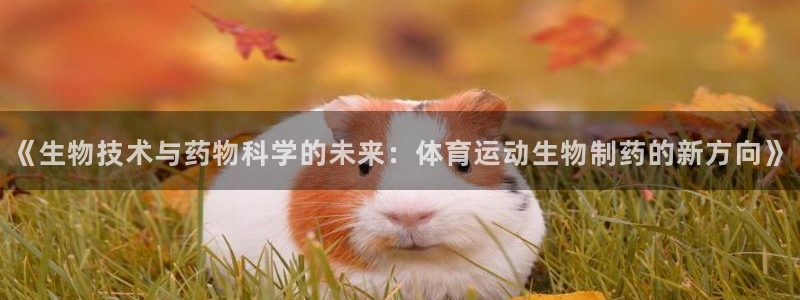 杏宇平台官网登录入口