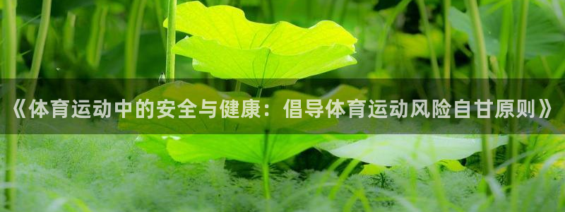 杏宇体育合法嘛
