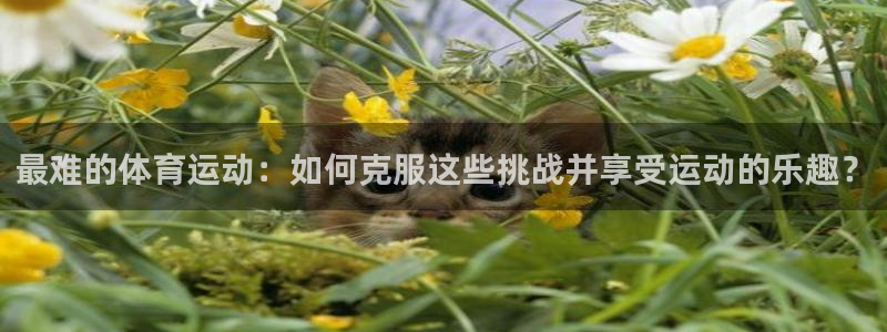 杏宇体育合法嘛